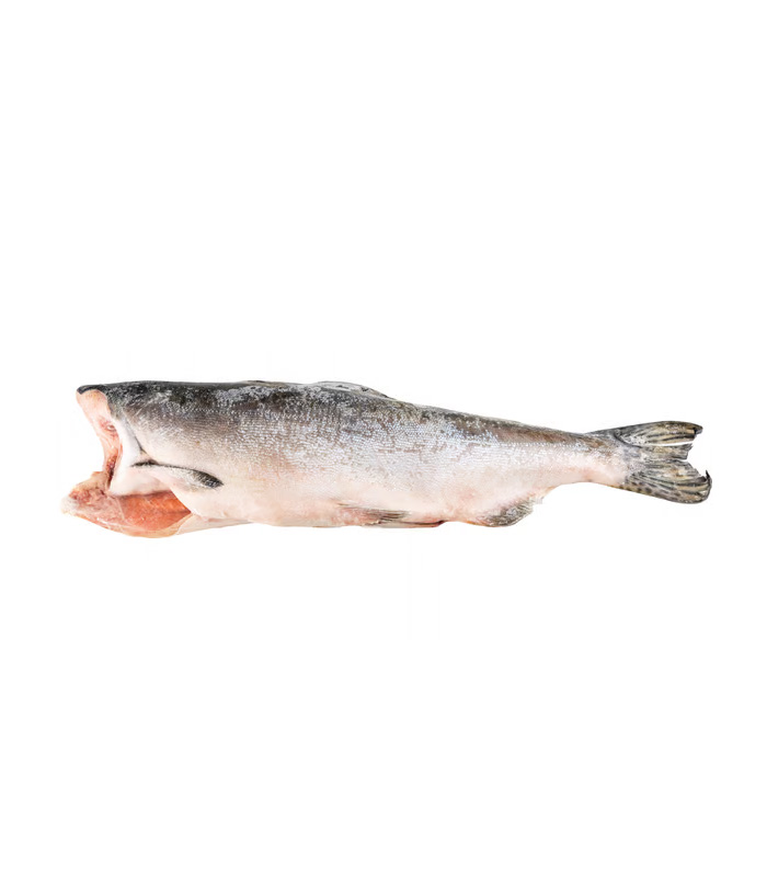 vg-sf-frzf-4.jpg Pink (Hump-Back) Salmon - Görsel 1